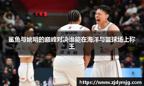 鲨鱼与姚明的巅峰对决谁能在海洋与篮球场上称王
