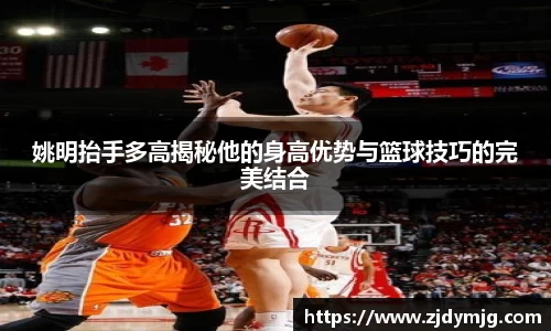姚明抬手多高揭秘他的身高优势与篮球技巧的完美结合